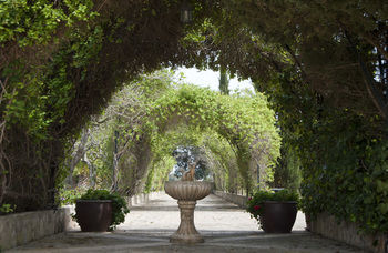 Finca Sa Garriga Binisalem Kültér fotó